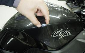 KAWASAKI NINJA 250 EX250L