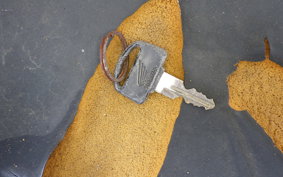HONDA GYRO CANOPY TA02