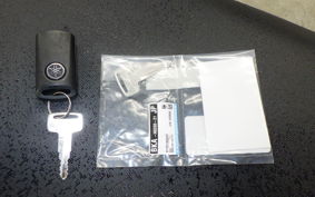 YAMAHA NMAX-3 2021 SEL1J