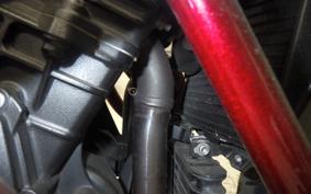 TRIUMPH SPEED TRIPLE RS 2020