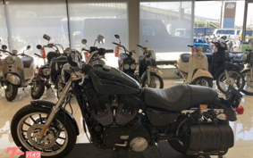 HARLEY XL1200R 2009 CV3
