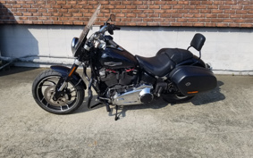 HARLEY  HARLEY FLSB 2020 YMJ