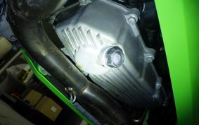 KAWASAKI NINJA 250 EX250L