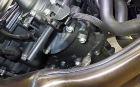 KAWASAKI Z250 Gen.2 2024 EX250Y