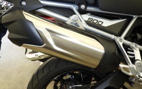 TRIUMPH TIGER 900 RALLY PRO 2025