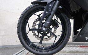 KAWASAKI NINJA 250 EX250L