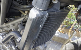OTHER +CAGIVA EXTRA RAPTOR1000 2004