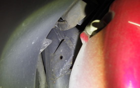 HONDA TODAY 2 2007 AF67