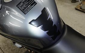 BMW S1000R 2023