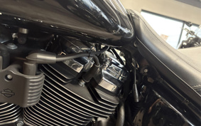HARLEY FLFBS 2021 YGK
