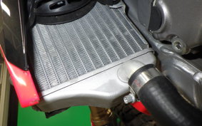 HONDA CRF250L 1994 MD44