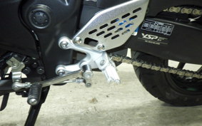 YAMAHA YZF-R25 RG43J