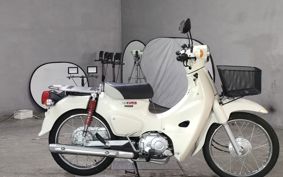 HONDA SUPER CUB110 JA44