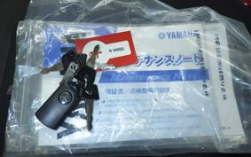 YAMAHA X-MAX 250 2025 SG70J