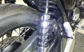 TRIUMPH BONNEVILLE T100 2024