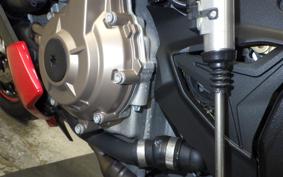 BMW S1000R 2021