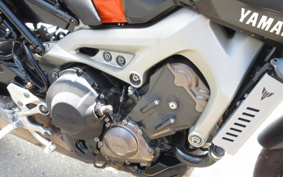 YAMAHA MT-09 2014 RN34J