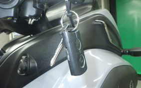 YAMAHA TRICITY 300 2021 SH15J