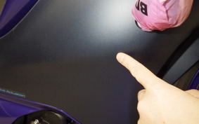 YAMAHA YZF-R15 2022 RG86J