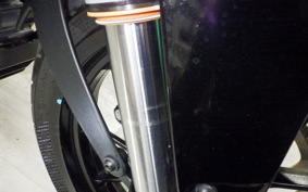 KTM 250 DUKE 2025
