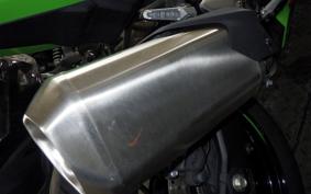 KAWASAKI ZX-4RR 2023 ZX400P