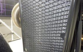 TRIUMPH SCRAMBLER 900 2023