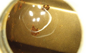 SUZUKI GSX250S KATANA 2015 GJ76A