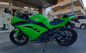 KAWASAKI NINJA 250 EX250L