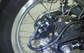 KAWASAKI W800 2023 EJ800E