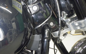 HARLEY FLSB 1750 2020