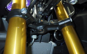 YAMAHA YZF-R15 1999 RG86J