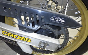 YAMAHA TDR250 2021 2YK