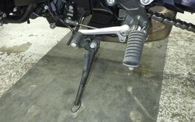 KAWASAKI Z900RS 2024 ZR900K