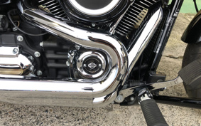 HARLEY FLSB 2021 YMJ