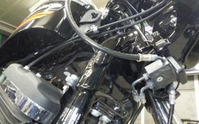 HARLEY XL1200XS 2019