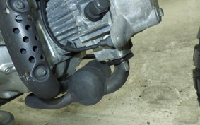 HONDA MONKEY 2009 AB27