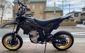YAMAHA WR250X DG15J