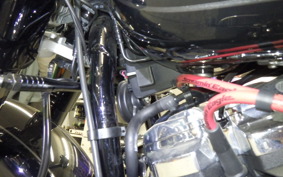 HARLEY FLBS 1870 2021