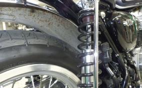 KAWASAKI W800 2023 EJ800E