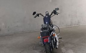 HARLEY XL883L 2009 CR2