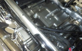 HARLEY FLSTFI1920 2025
