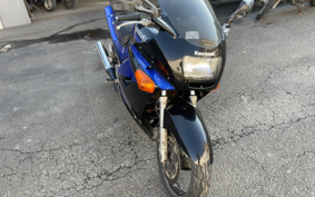KAWASAKI ZZ-R250 EX250H