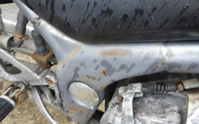 KAWASAKI BALIUS 250 ZR250A