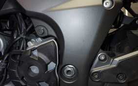 KAWASAKI NINJA 1000SX 2023 ZXT02K