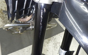 YAMAHA WR250X DG15J
