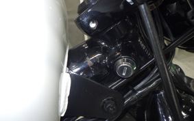 HARLEY XL1200NS 2018