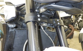TRIUMPH STREET TRIPLE R 2023