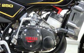 YAMAHA RZ 250 4L3