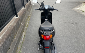 HONDA  TACT  BASIC  AF79