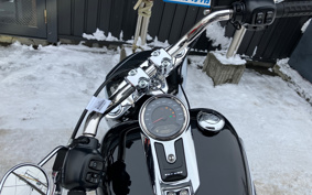 HARLEY FLFB 2025 YF9